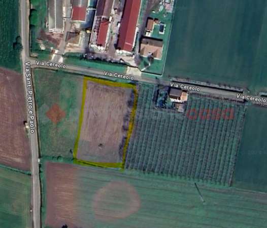 Foto Terreno agricolo in vendita a Cologna Veneta