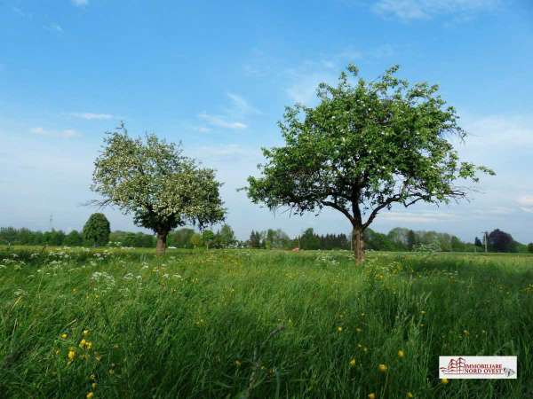 Foto Terreno agricolo in Vendita a Corbetta via Parini