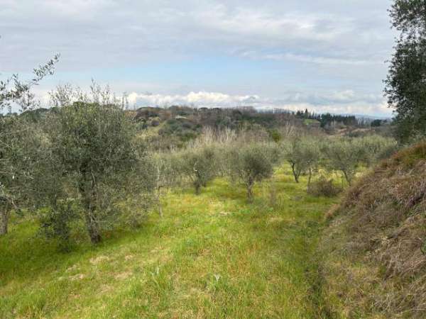 Foto Terreno agricolo in vendita a Corniola - Empoli 20000 mq  Rif: 1099670