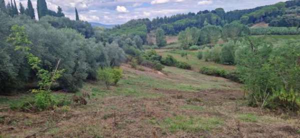 Foto Terreno agricolo in vendita a Crespina - Crespina Lorenzana 20000 mq  Rif: 1277662