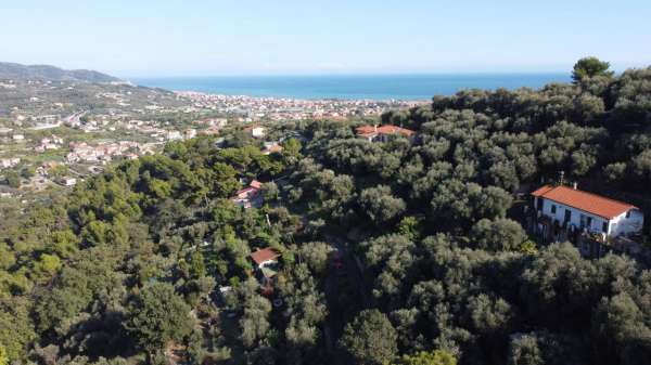 Foto Terreno agricolo in vendita a Diano Marina