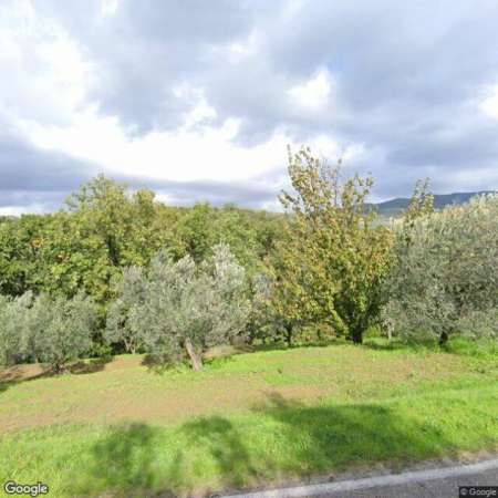 Foto Terreno agricolo in vendita a Faltognano - Vinci 13000 mq  Rif: 1289176