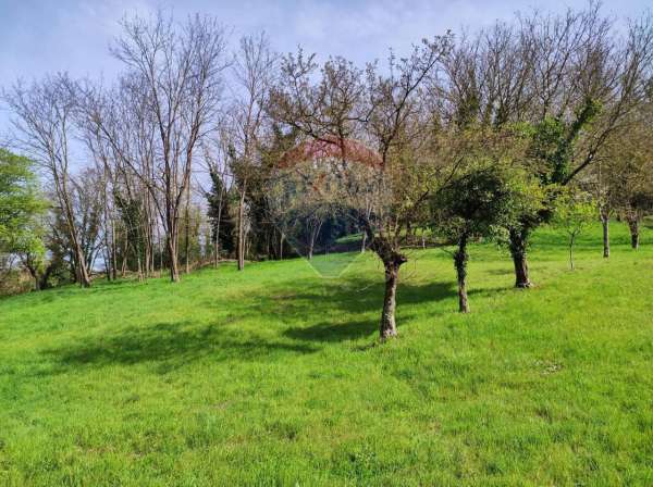 Foto Terreno agricolo in vendita a Figline e Incisa Valdarno