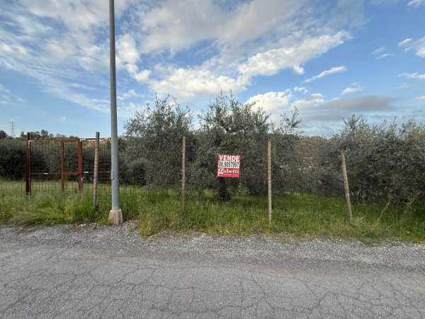 Foto Terreno agricolo in vendita a Fonte Nuova