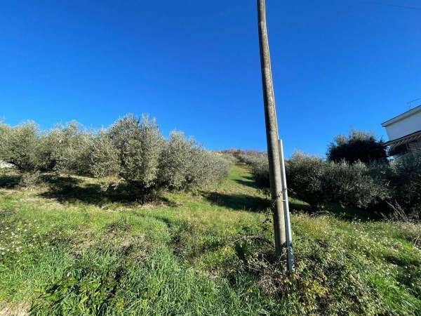 Foto Terreno agricolo in vendita a Fonte Nuova
