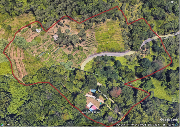 Foto Terreno agricolo in vendita a Fontia - Carrara 14602 mq  Rif: 1258618