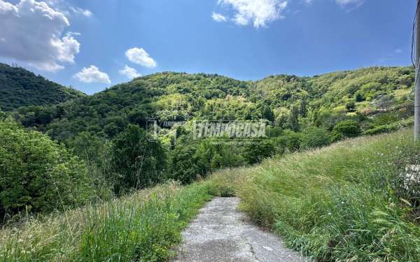 Foto Terreno agricolo in vendita a Foresto Sparso