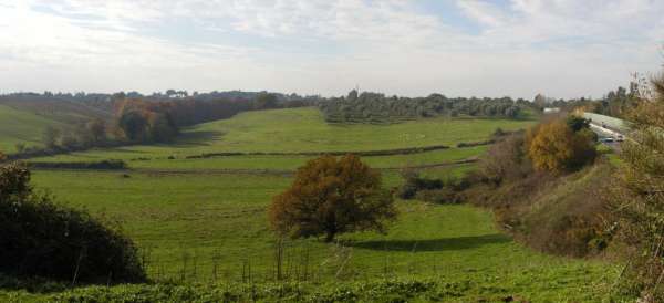 Foto Terreno agricolo in vendita a Formello