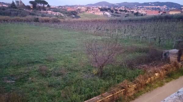 Foto Terreno agricolo in vendita a Frascati