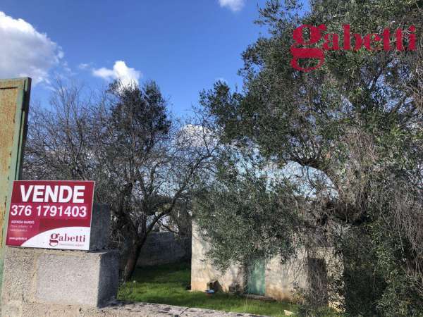 Foto Terreno agricolo in vendita a Gallipoli