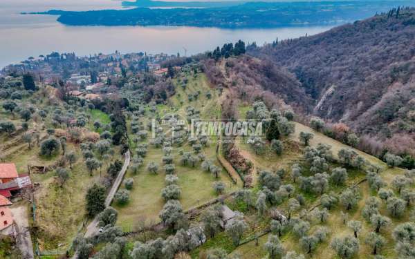Foto Terreno agricolo in vendita a Gardone Riviera