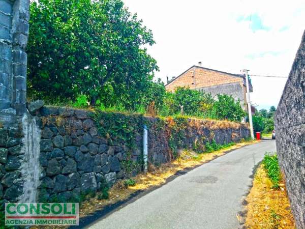 Foto Terreno agricolo in vendita a Giarre