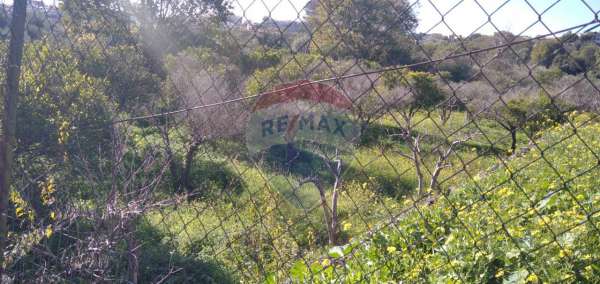Foto Terreno agricolo in vendita a Gravina Di Catania