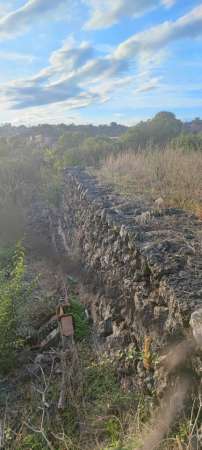 Foto Terreno agricolo in vendita a Gravina Di Catania