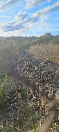Foto Terreno agricolo in vendita a Gravina Di Catania