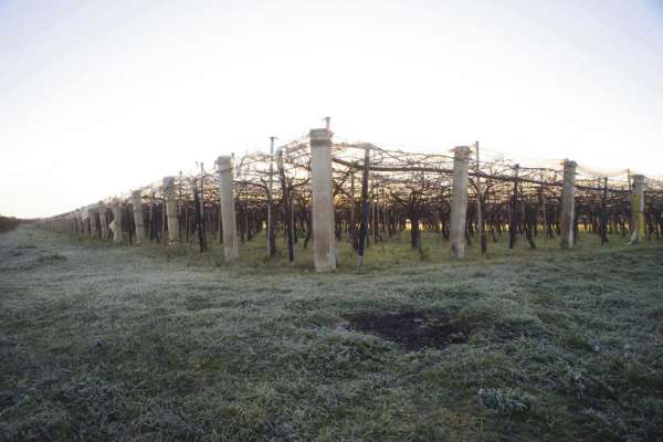 Foto Terreno agricolo in vendita a Grottaglie