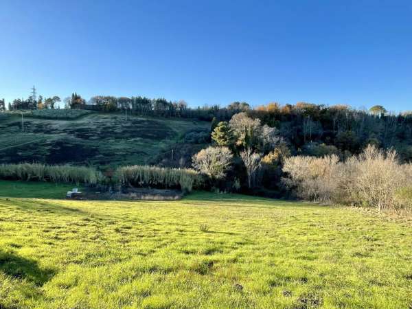 Foto Terreno agricolo in vendita a Guardistallo