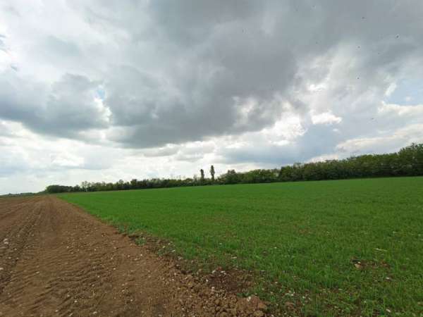 Foto Terreno agricolo in Vendita a Gussago Ronco
