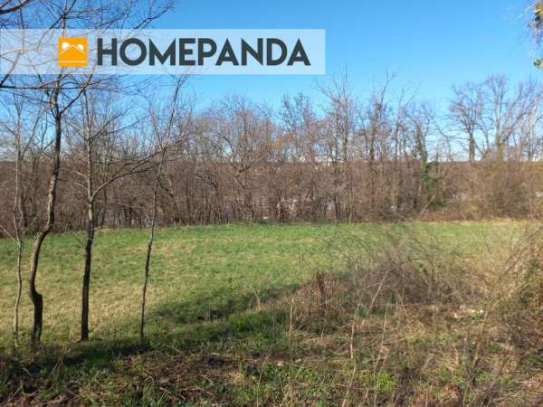Foto Terreno agricolo in vendita a Inverigo