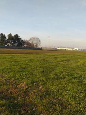Foto Terreno agricolo in vendita a Lainate