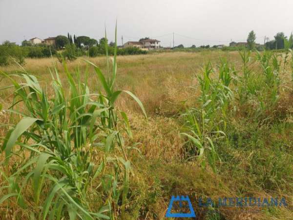 Foto Terreno agricolo in vendita a Larciano 1540 mq  Rif: 1278056