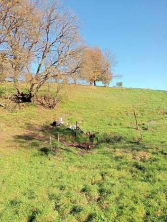 Foto Terreno agricolo in vendita a Lastra a Signa 30000 mq  Rif: 1299415