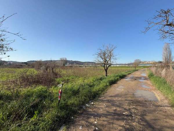 Foto Terreno agricolo in vendita a Lastra A Signa