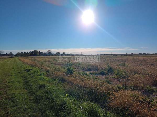 Foto Terreno agricolo in vendita a Lazzate
