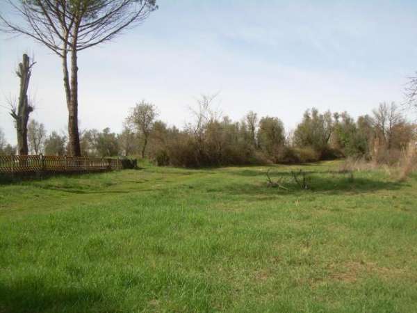 Foto Terreno agricolo in vendita a Lazzeretto - Cerreto Guidi 42000 mq  Rif: 1296719