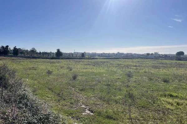 Foto Terreno agricolo in vendita a Lecce