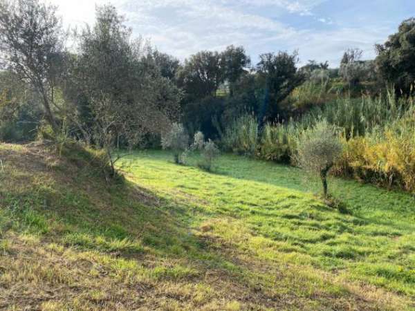 Foto Terreno agricolo in vendita a Limoncino - Livorno 3600 mq  Rif: 1299868