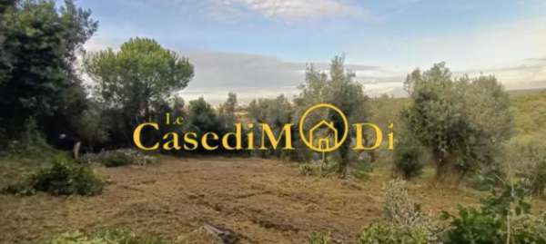 Foto Terreno agricolo in vendita a Livorno 1600 mq  Rif: 1298792