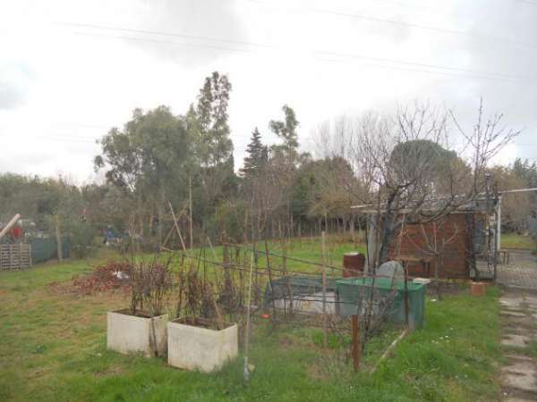 Foto Terreno agricolo in vendita a Livorno 2000 mq  Rif: 1023871
