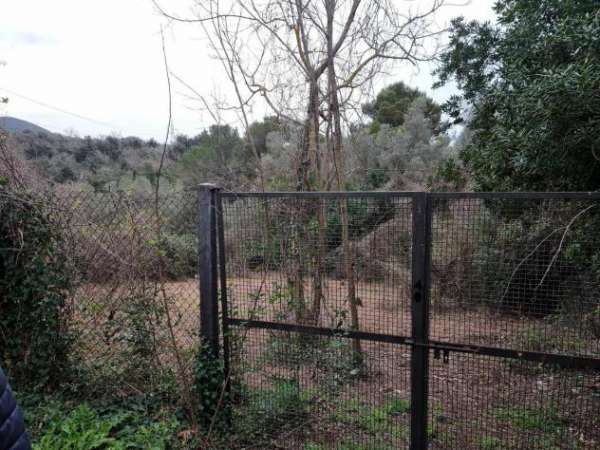 Foto Terreno agricolo in vendita a Livorno 2355 mq  Rif: 1268532