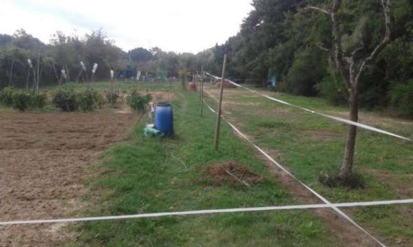 Foto Terreno agricolo in vendita a Livorno 4290 mq  Rif: 1099572