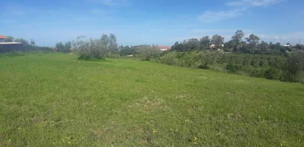 Foto Terreno agricolo in vendita a Livorno