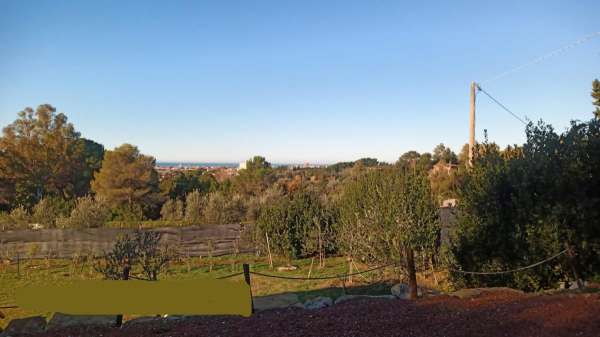 Foto Terreno agricolo in vendita a Livorno