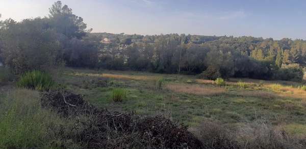 Foto Terreno agricolo in vendita a Livorno