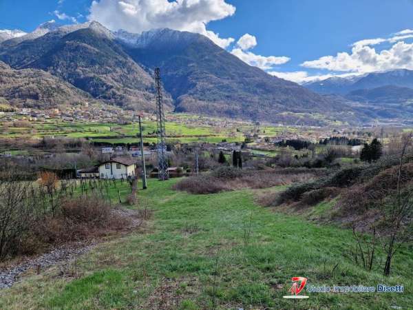 Foto Terreno agricolo in vendita a Losine