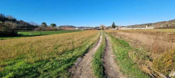 Foto Terreno agricolo in vendita a Luciana - Fauglia 4040 mq  Rif: 1230267