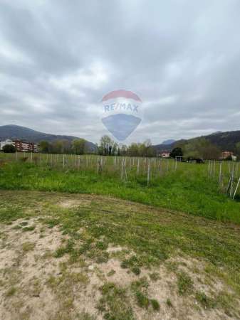 Foto Terreno agricolo in vendita a Luino