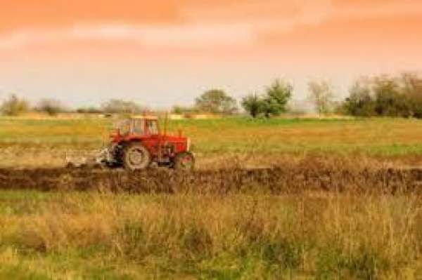 Foto Terreno agricolo in vendita a Luni 1680 mq  Rif: 1123031