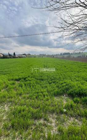Foto Terreno agricolo in vendita a Macerata