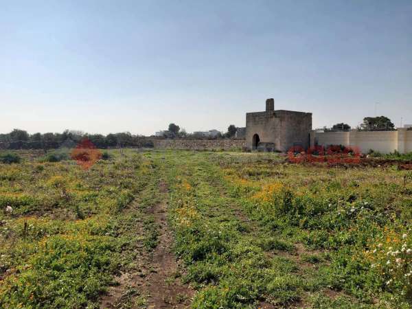 Foto Terreno agricolo in vendita a Manduria