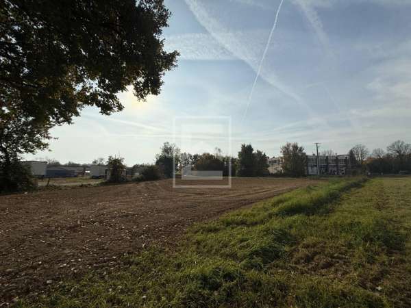 Foto Terreno agricolo in vendita a Manerba Del Garda