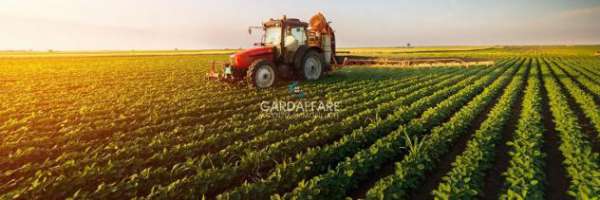 Foto TERRENO AGRICOLO IN VENDITA A MANERBA DEL GARDA