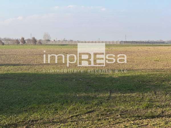 Foto Terreno agricolo in vendita a Marcon