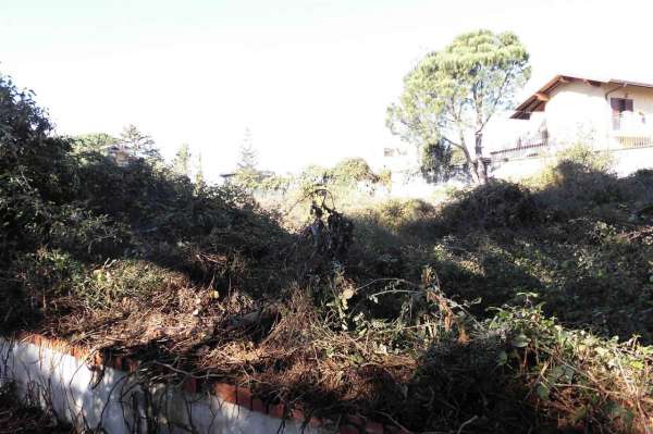 Foto Terreno agricolo in vendita a Mascalucia