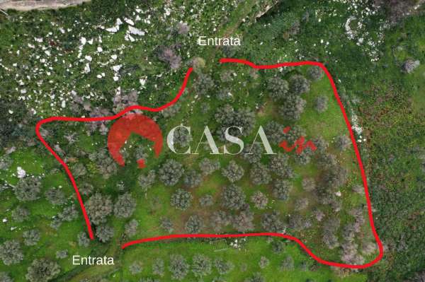 Foto Terreno agricolo in vendita a Militello Rosmarino