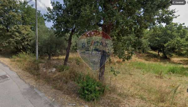Foto Terreno agricolo in vendita a Minturno